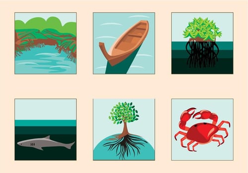 Mangrove Vector