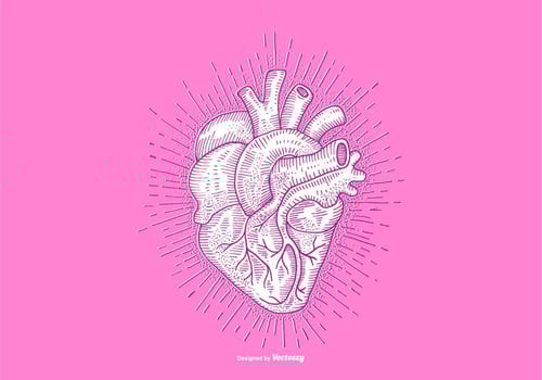 HEART - LINE DRAWING vector