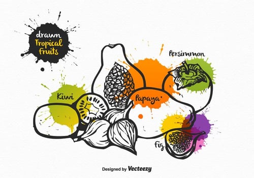 Free Vector Drawn Tropical Fruits