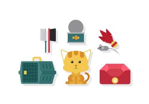 Vector Kitty Cat Pet