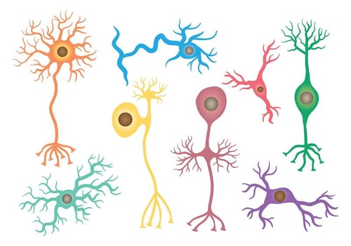 Free Neuron Icons Vector