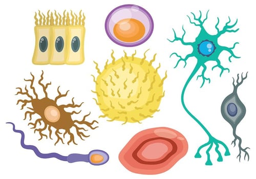 Free Neuron Icons Vector