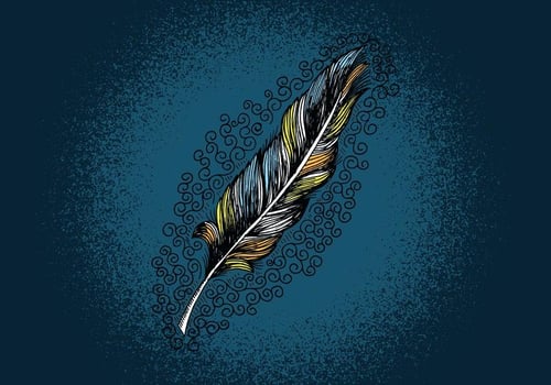 Feather Line Drawing vector