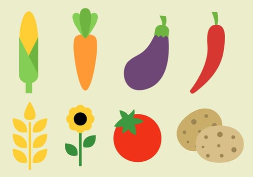 Vegetables Vector