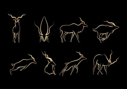 Gold Linear Kudu Vectors