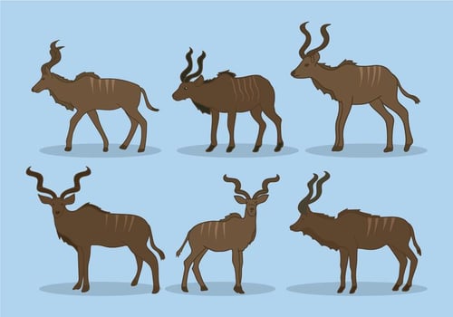 Kudu Vector