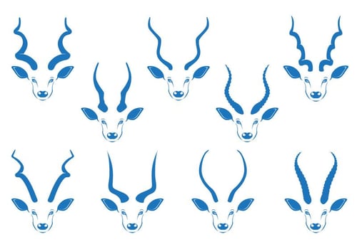 Kudu Horn Vector Stock