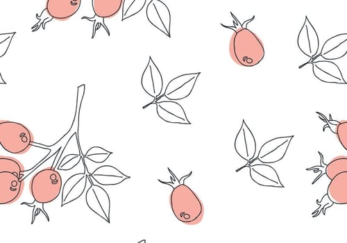 Delicate Rosehip Pattern vector