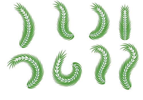 Palm Sunday Leaf Vectors