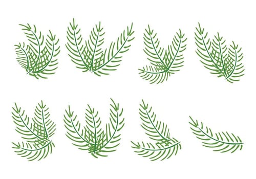 Palm Sunday Vector Palms