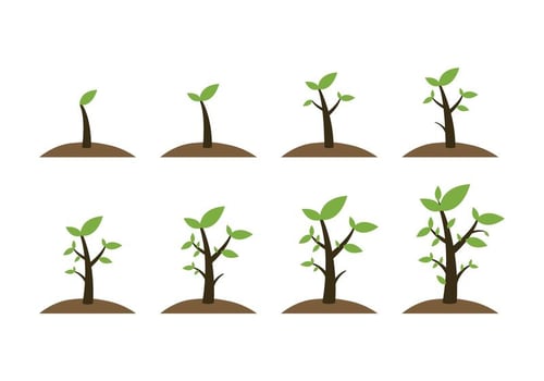 Free Grow Up Plant Icons vector