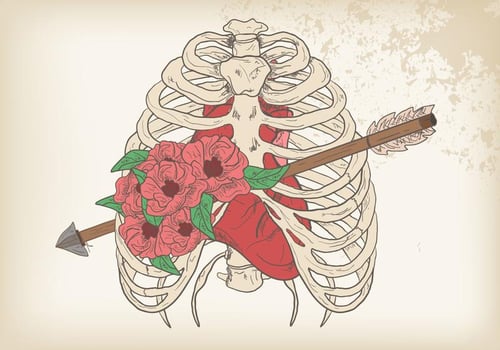 Rib Cage Vector
