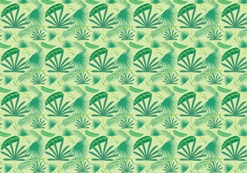 Palm Leaf Vector