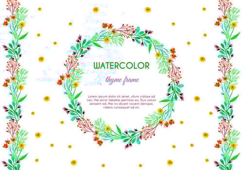 Vector Watercolor Thyme Frame and Border