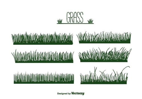 Grass Vector
