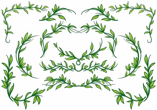 Liana Plant Border Vector 