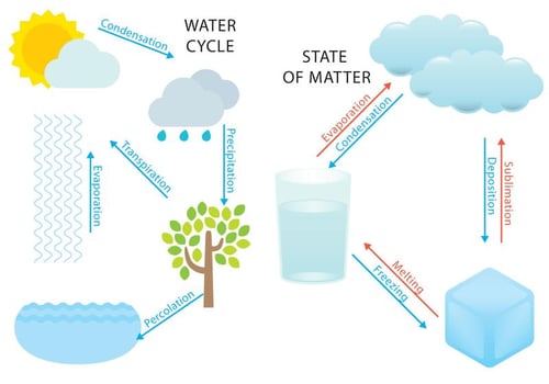 Water Cycle And States vector