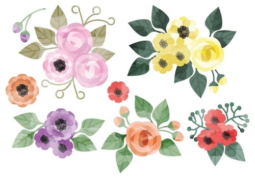 Vector Watercolor Floral Elements