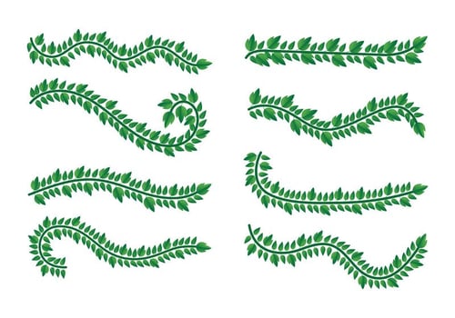 Set Of Liana Vector