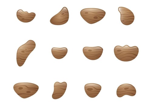 Wood Climbing Grip Vectors