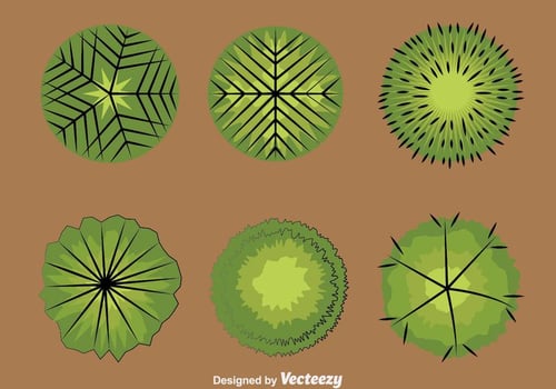 Tree Tops Collection Vector