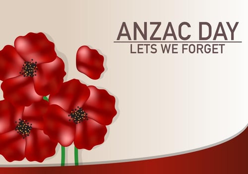Anzac Flower Celebration Background vector