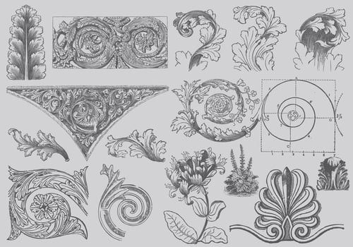 Acanthus Decor vector