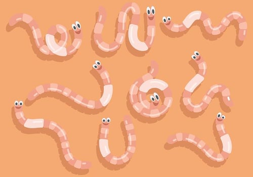 Free Earthworm Icons Vector