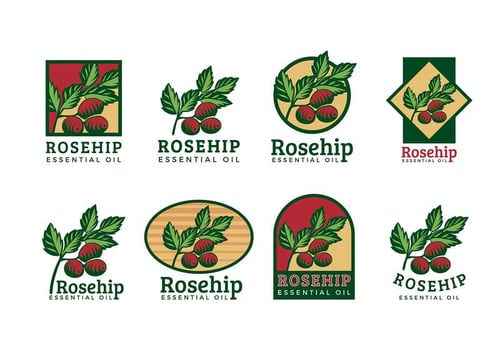 Rosehip Logo Vector