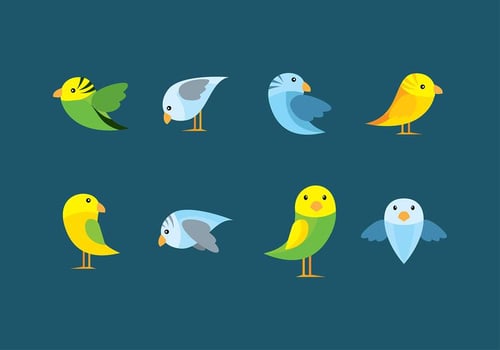 Budgie Flat Cartoon vector