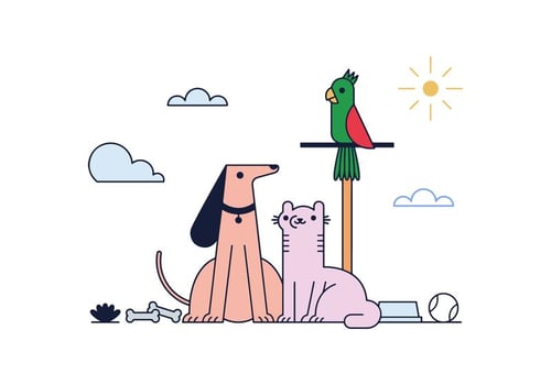 Pets Vector