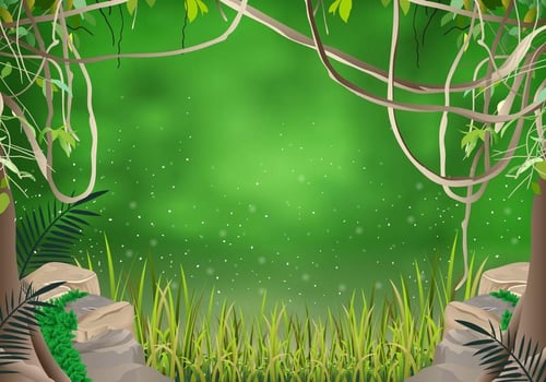 The Jungle Liana vector