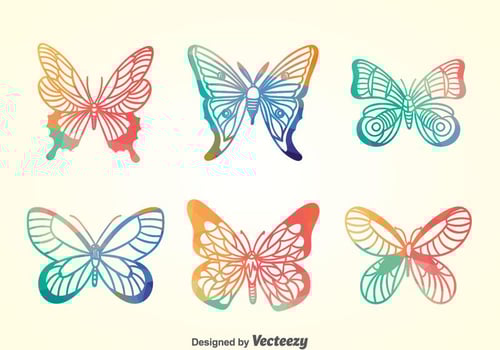 Colorful Butterfly Collection Set vector