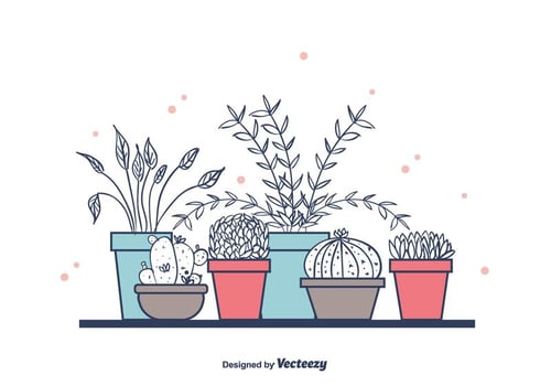 House Plants In Pots vector
