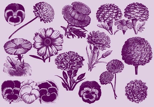 Vintage Flowers vector