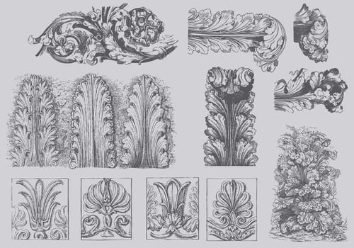 Vintage Acanthus Illustrations vector