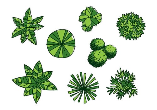 Tree Tops Vector