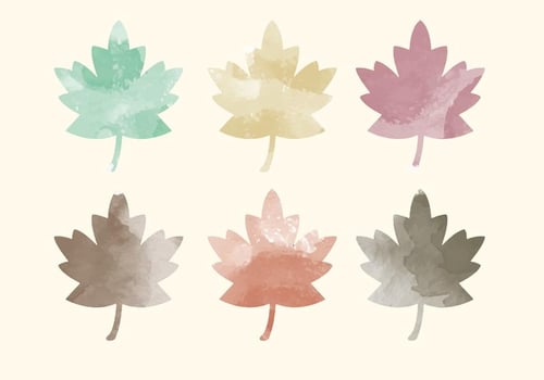 Vector Watercolor Leaves