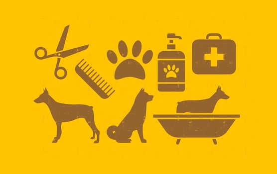 Pet Dog Icons Set vector