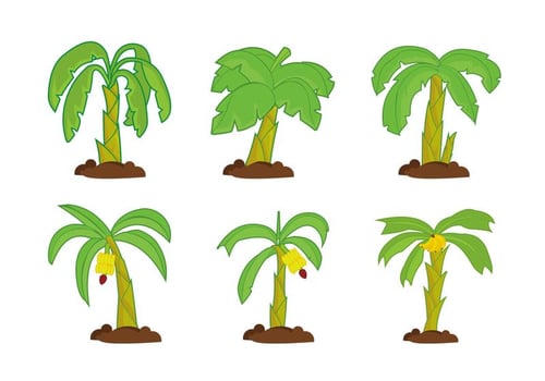 Banana tree vector pack