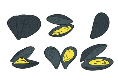 Mussel Vector