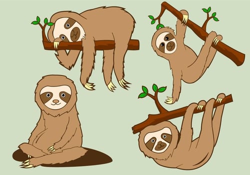 Funny Sloth Pose Illustration vector