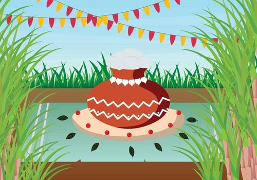 Pongal Illustration vector
