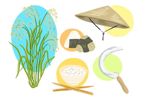 Free Rice Field Collection vector