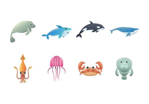 Sea Creature Vector