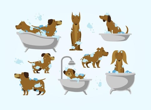 Dog Wash Vector