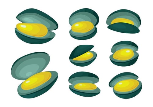 Free Mussel Vector