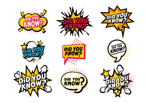 Trivia Vector Sticker