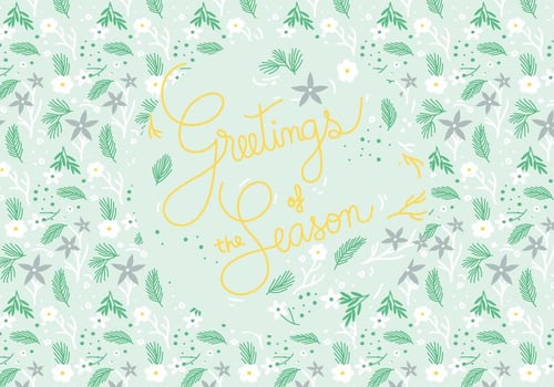 Christmas Plant Illustration  vector