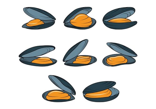 Mussel Vector Icons